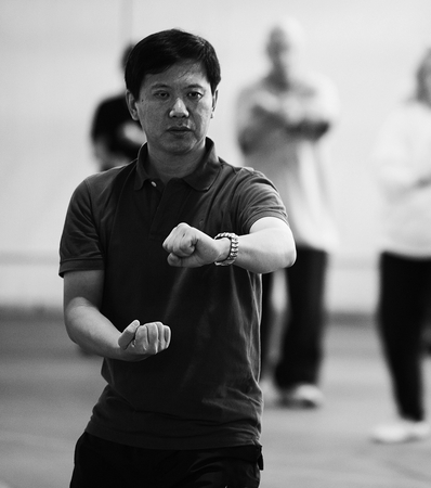 gran-maestro-yang-jun