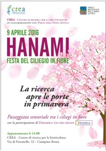 hanami